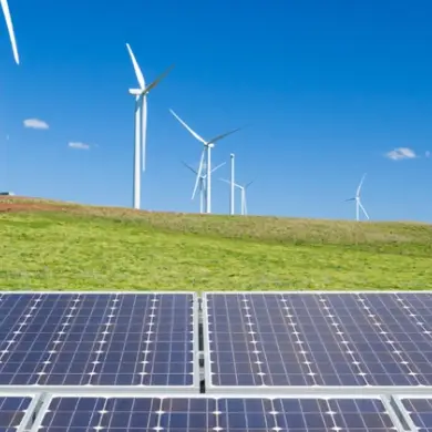 Palbit reduces energy use through efficient production, renewable energy, and smart management systems